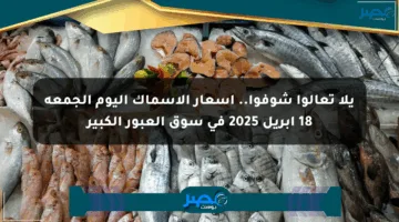 يلا تعالوا شوفوا.. أسعار الأسماك اليوم الجمعة 18 أبريل 2025 في سوق العبور الكبير